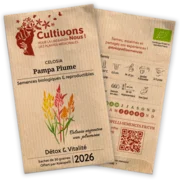 Échantillons gratuits graines  Pampa Plume