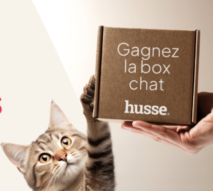 Box chat Husse gratuite