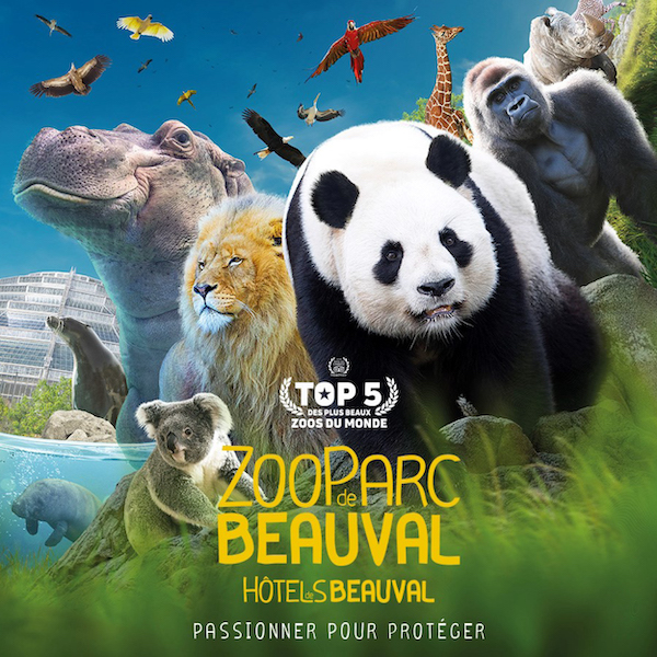Goodies Zoo de Beauval gratuits