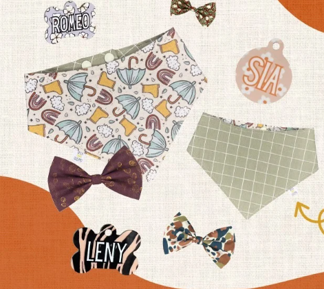 Accessoires pour chats gratuits